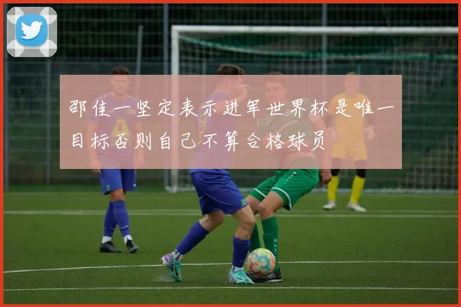 邵佳一坚定表示进军世界杯是唯一目标否则自己不算合格球员