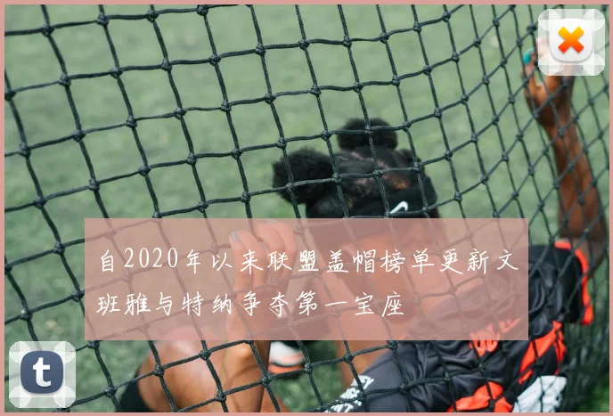 自2020年以来联盟盖帽榜单更新文班雅与特纳争夺第一宝座