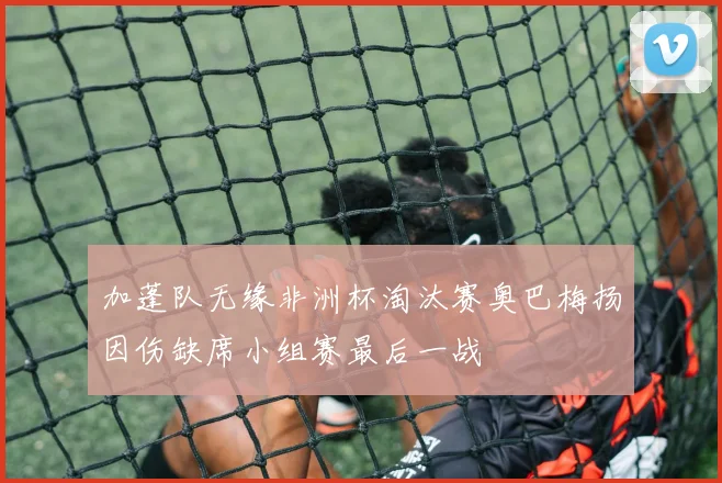 加蓬队无缘非洲杯淘汰赛奥巴梅扬因伤缺席小组赛最后一战