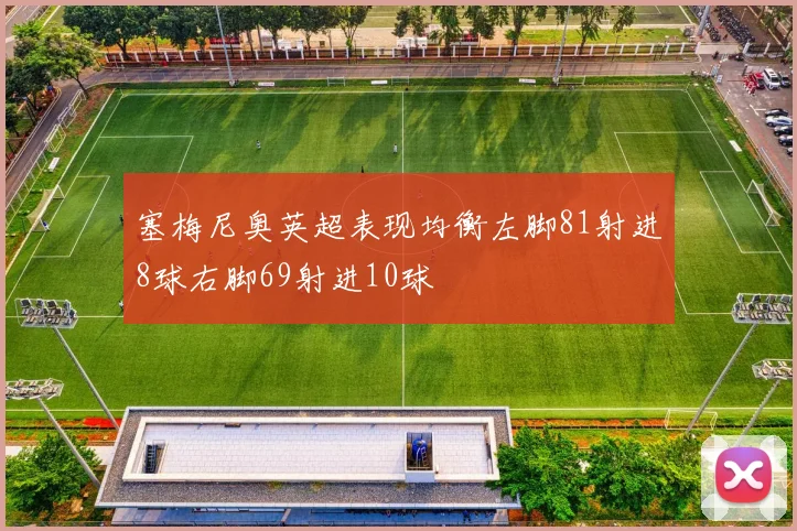 塞梅尼奥英超表现均衡左脚81射进8球右脚69射进10球