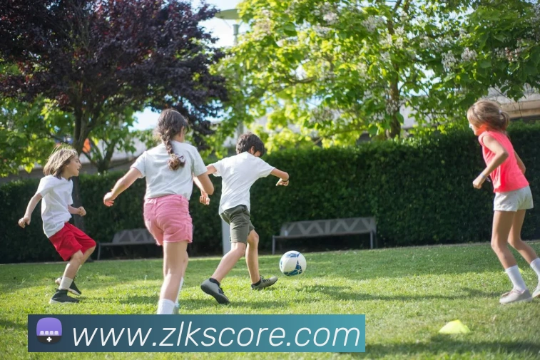 App Interface Preview